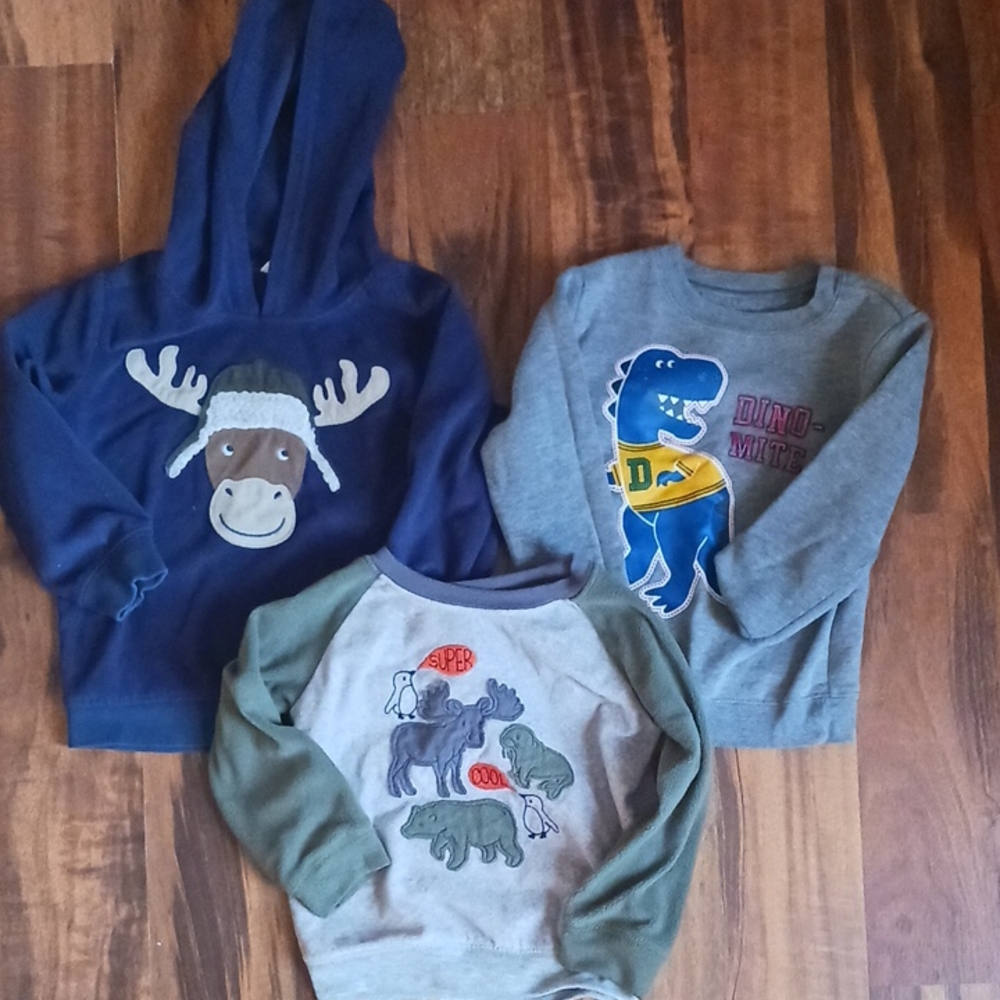 Toddler Sweatshirts